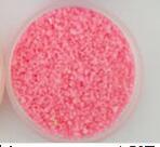 10G Luminous Sand Paint Fluorescent